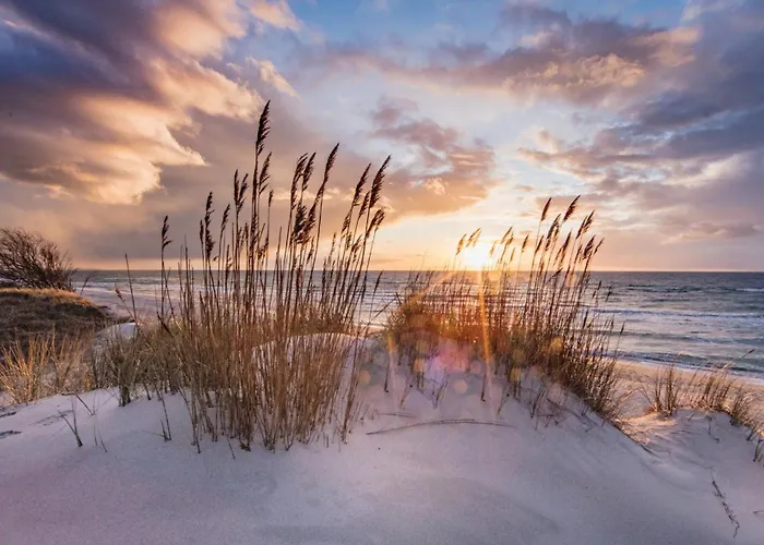 Smidt 4 Strandnuest * Rostock